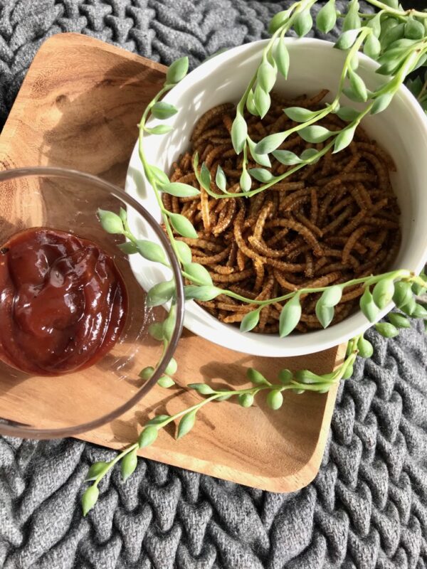 insekt snack - ristede melorme med bbq